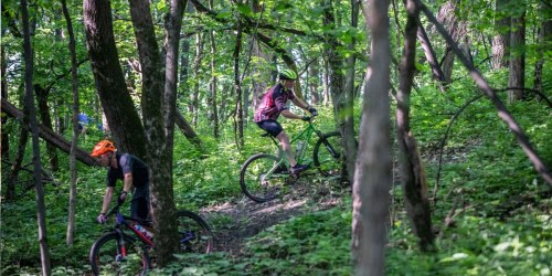 Two mountain bikers navigate a wooded trail surrounded by lush green trees and foliage.