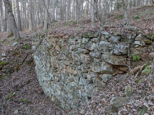 A stone wall partially covered in leaves, surrounded by trees in a wooded area.