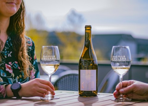 Two people hold glasses of white wine, with a bottle of wine on a table outdoors, surrounded by a scenic backdrop.