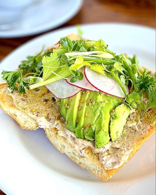 A slice of bread topped with avocado, radish, and fresh greens on a white plate.