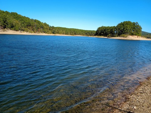 A serene lake surrounded by lush green trees under a clear blue sky. Gentle waves ripple across the water's surface.