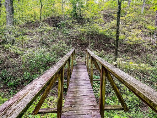 A wooden bridge leads into a lush, green forest with trees and underbrush surrounding the path.