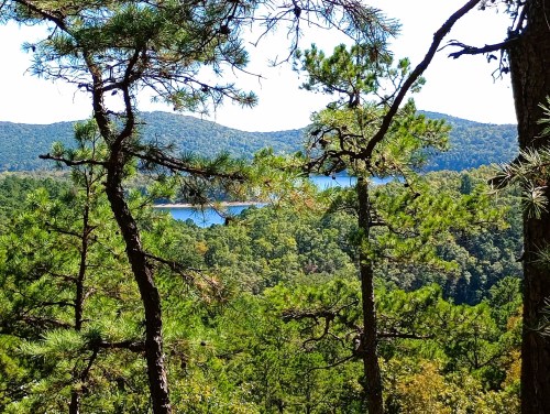 A scenic view of a lake surrounded by lush green trees and rolling hills under a clear blue sky.