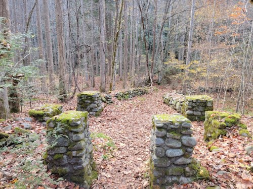 A moss-covered stone path leads through a forest with autumn leaves scattered on the ground.