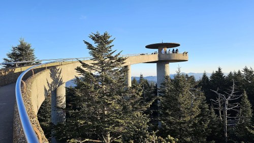 A scenic overlook on a raised platform surrounded by tall trees, with people enjoying the view against a clear blue sky.