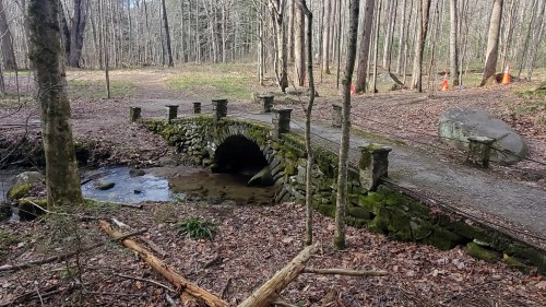 A stone bridge with an arch over a small stream, surrounded by trees and fallen leaves in a forested area.