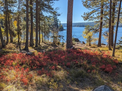 A serene lakeside scene with vibrant red foliage, tall trees, and clear blue water under a sunny sky.