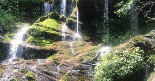 A serene waterfall cascading over moss-covered rocks, surrounded by lush greenery.