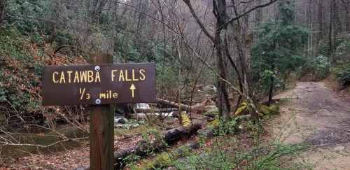 A wooden sign points to Catawba Falls, indicating it's ⅓ mile ahead, with a forested path and stream nearby.
