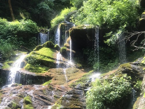 A serene waterfall cascading over moss-covered rocks, surrounded by lush green foliage.