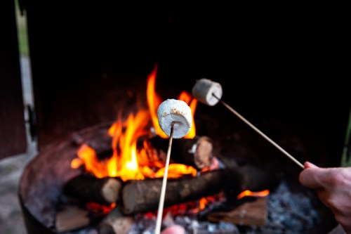 Two marshmallows on sticks are being roasted over a crackling campfire. Flames and logs are visible in the background.