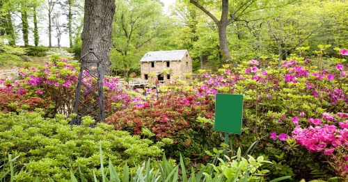 A quaint stone house surrounded by vibrant pink and green flowers in a lush garden setting.