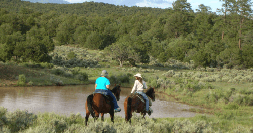 Two riders on horseback near a serene pond, surrounded by lush greenery and trees under a clear blue sky.
