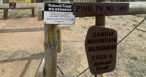 Signpost indicating Pino Trail No. 140, with warnings about vehicle restrictions in the National Forest Wilderness.