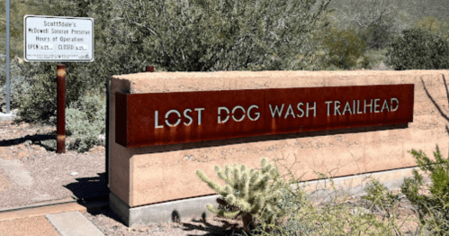 Sign for Lost Dog Wash Trailhead at McDowell Sonoran Preserve, with desert landscape in the background.