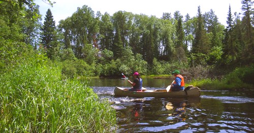 Two people canoeing on a calm river surrounded by lush greenery and trees under a bright blue sky.