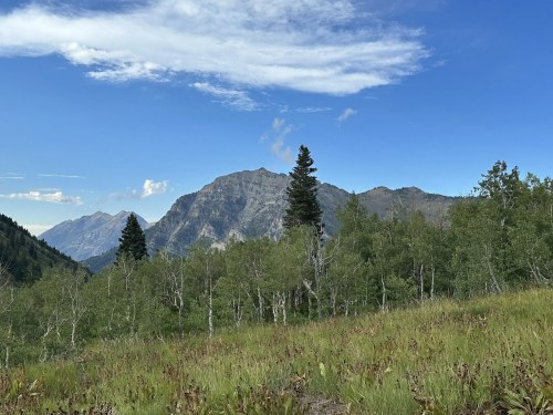 A scenic view of mountains and lush greenery under a clear blue sky with scattered clouds.