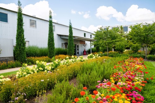 A vibrant garden with colorful flowers and greenery in front of a modern building under a blue sky with fluffy clouds.
