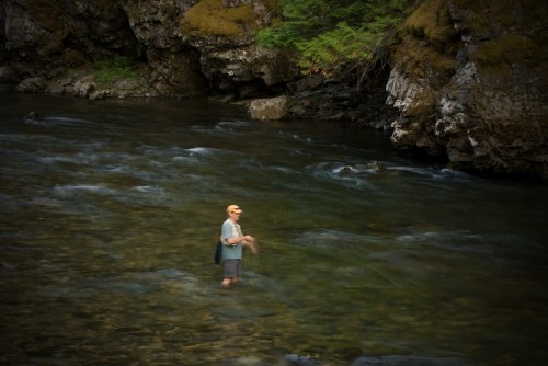 A person stands in a river, casting a fishing line, surrounded by rocky banks and lush greenery.