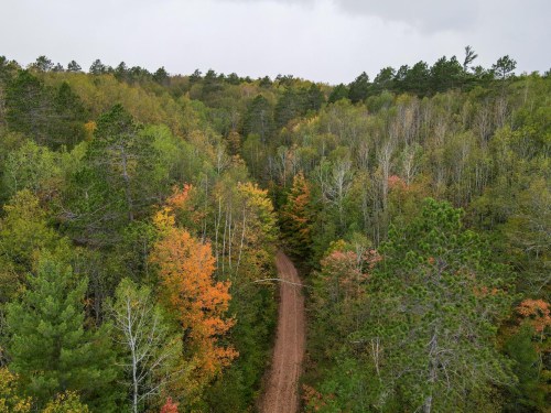 A winding dirt path through a vibrant forest with green and autumn-colored trees under a cloudy sky.