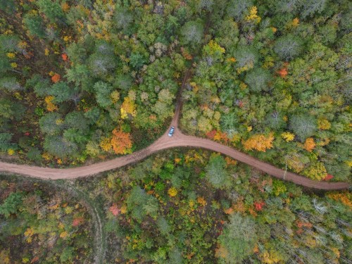 Aerial view of a winding dirt road through a vibrant forest with autumn foliage in various colors.