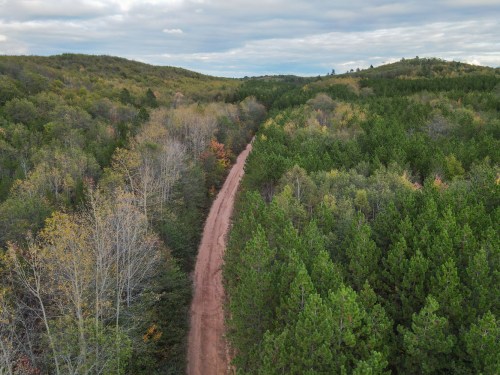 Aerial view of a winding dirt road surrounded by lush green trees and autumn foliage in a hilly landscape.