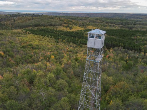 A tall fire lookout tower stands above a dense forest, surrounded by trees in various autumn colors under a cloudy sky.