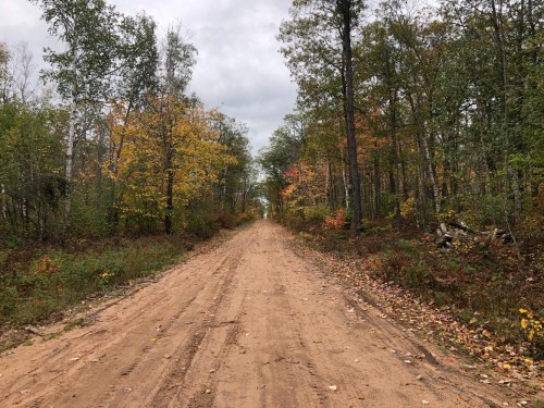 A dirt road stretches through a forest with trees displaying autumn colors under a cloudy sky.