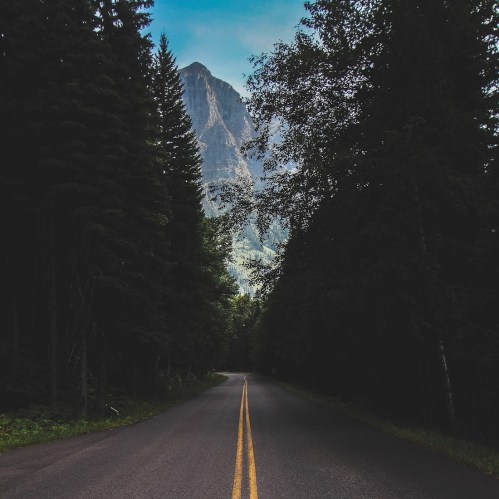 A winding road through a dense forest, leading towards a majestic mountain in the background under a clear blue sky.