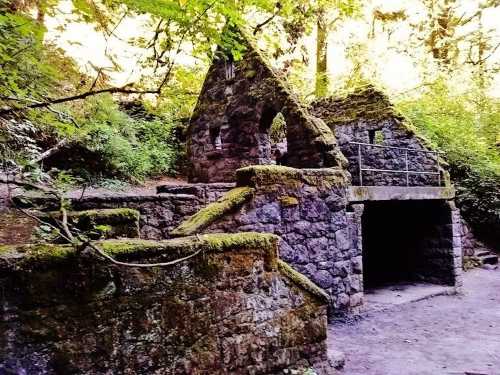 Abandoned stone structure covered in moss, surrounded by lush greenery in a forested area.