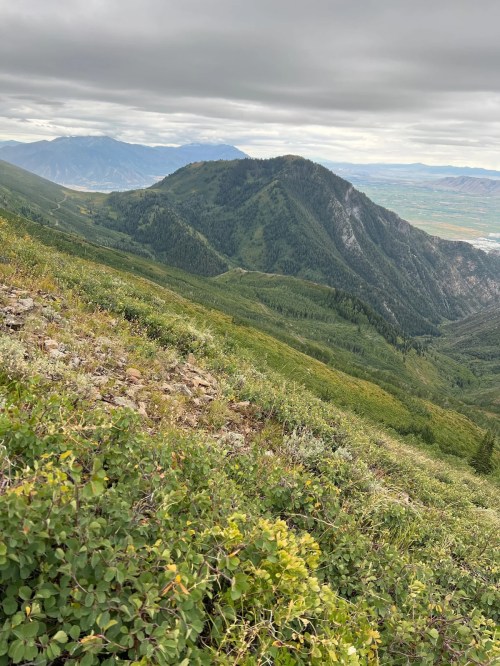 A scenic view of rolling green mountains under a cloudy sky, with valleys and distant peaks visible in the background.