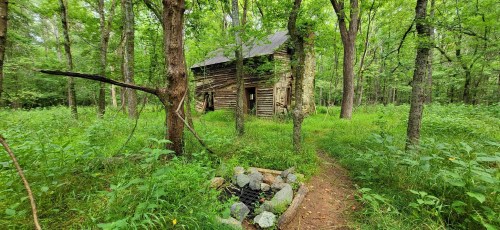 A rustic wooden cabin surrounded by lush green trees and tall grass, with a stone fire pit in the foreground.