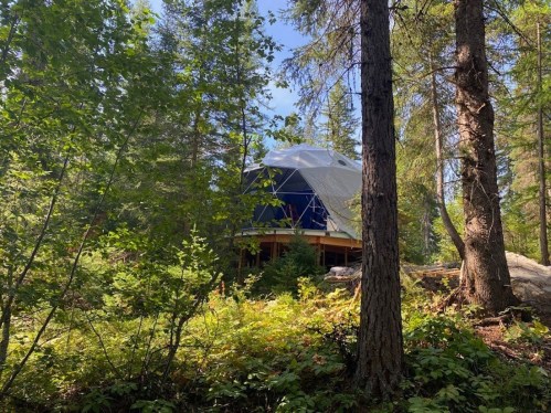 A geodesic dome house nestled among tall trees and lush greenery in a forest setting.