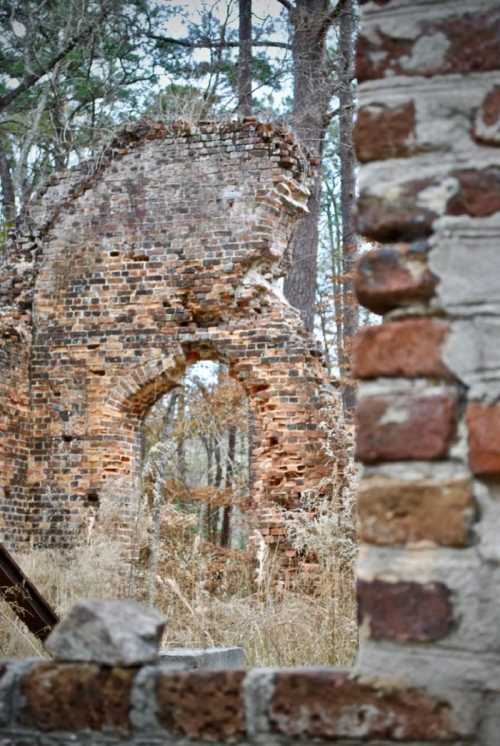 Ruins of a brick structure surrounded by trees, viewed through a broken wall, with tall grass in the foreground.