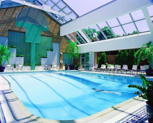 Indoor swimming pool with a glass roof, surrounded by plants and lounge chairs, featuring a bright and inviting atmosphere.