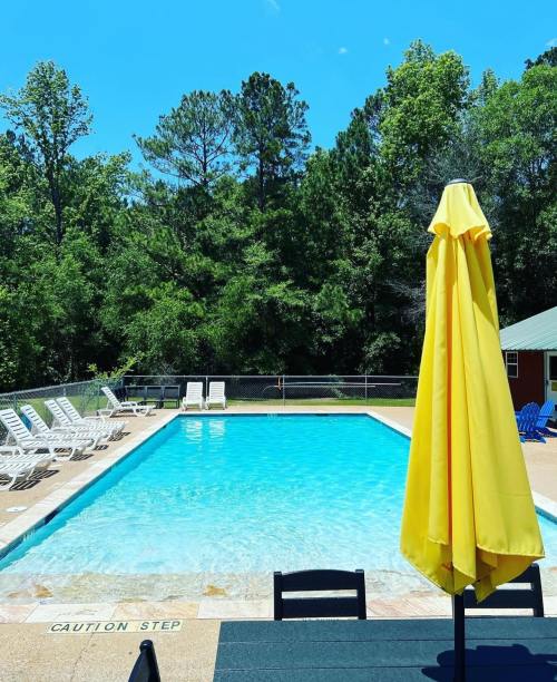 A bright blue swimming pool surrounded by lounge chairs and a yellow umbrella, set against a backdrop of green trees.