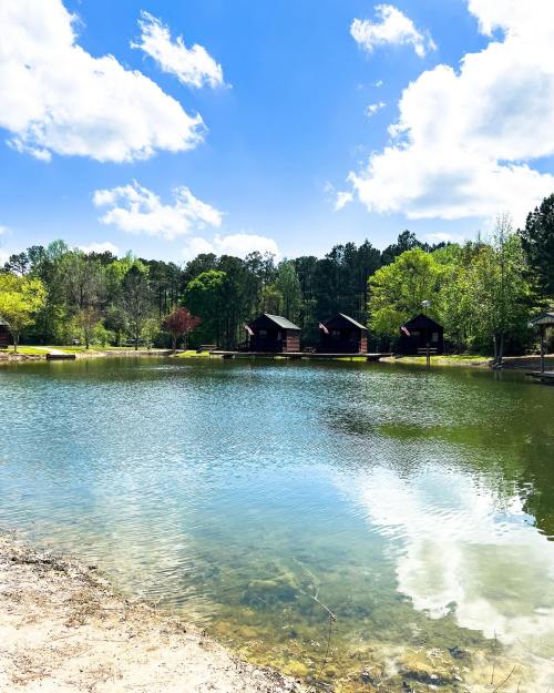 A serene lake surrounded by trees, with cabins reflecting on the water under a bright blue sky and fluffy clouds.