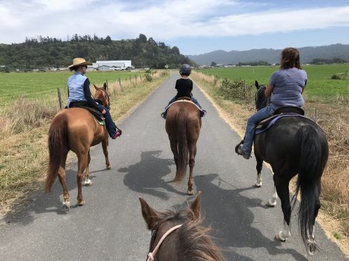 Three riders on horseback walking down a rural road, surrounded by fields and hills under a blue sky.