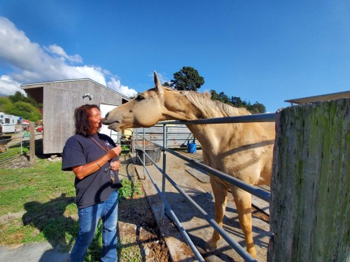 A person interacts with a friendly horse at a farm, with buildings and blue sky in the background.