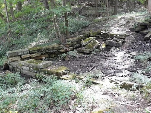 Ruins of stone walls covered in moss, surrounded by trees and underbrush in a wooded area.