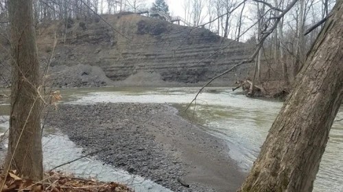 A riverbank with exposed layers of soil and trees on the shore, surrounded by a calm, flowing river.