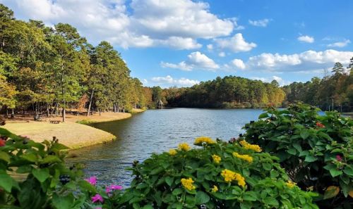 A serene lake surrounded by trees and colorful flowers under a blue sky with fluffy clouds.