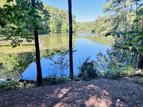 A serene lake surrounded by trees, reflecting the clear blue sky and lush greenery on a sunny day.