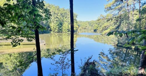 A serene lake surrounded by lush greenery and trees, reflecting the clear blue sky.