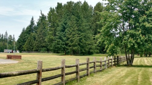 A grassy field bordered by a wooden fence, with trees in the background under a clear sky.