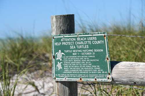 Sign on a post warning beach users to protect sea turtles during nesting season from May 1 to October 31.