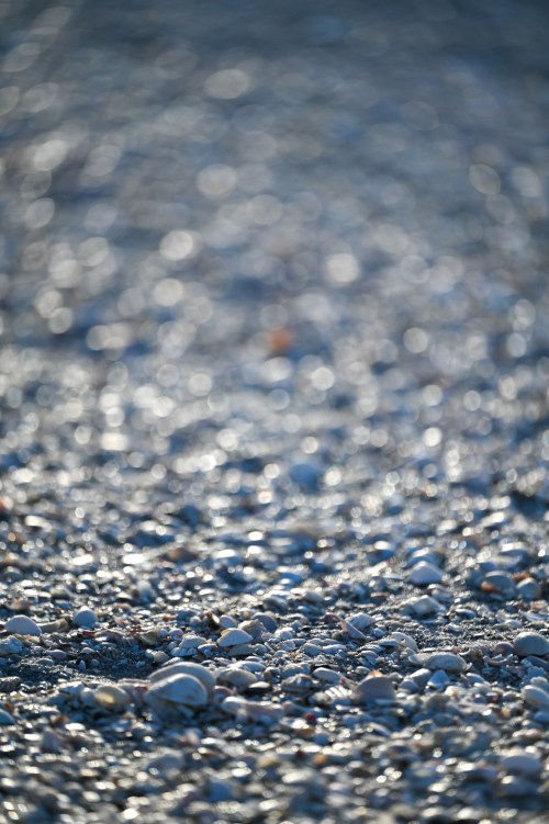 A blurred close-up of a sandy beach covered in small shells and pebbles, with soft, shimmering light.