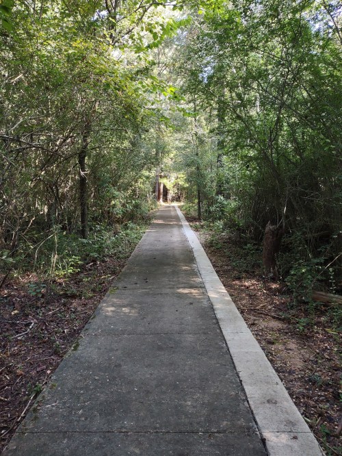 A concrete path leads through a lush, green forest, surrounded by trees and dappled sunlight.