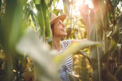 A smiling woman in a straw hat stands among tall corn plants, reaching up towards the sunlight.