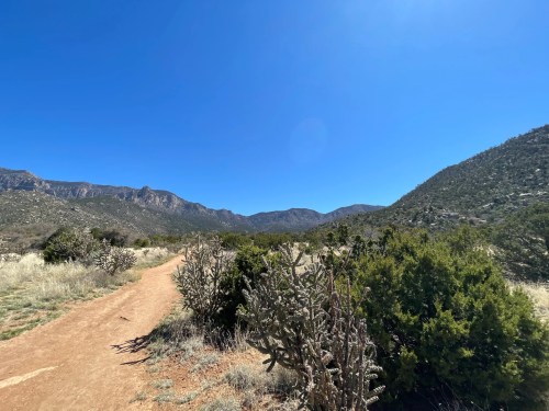 A dirt path winds through a desert landscape with shrubs and mountains under a clear blue sky.